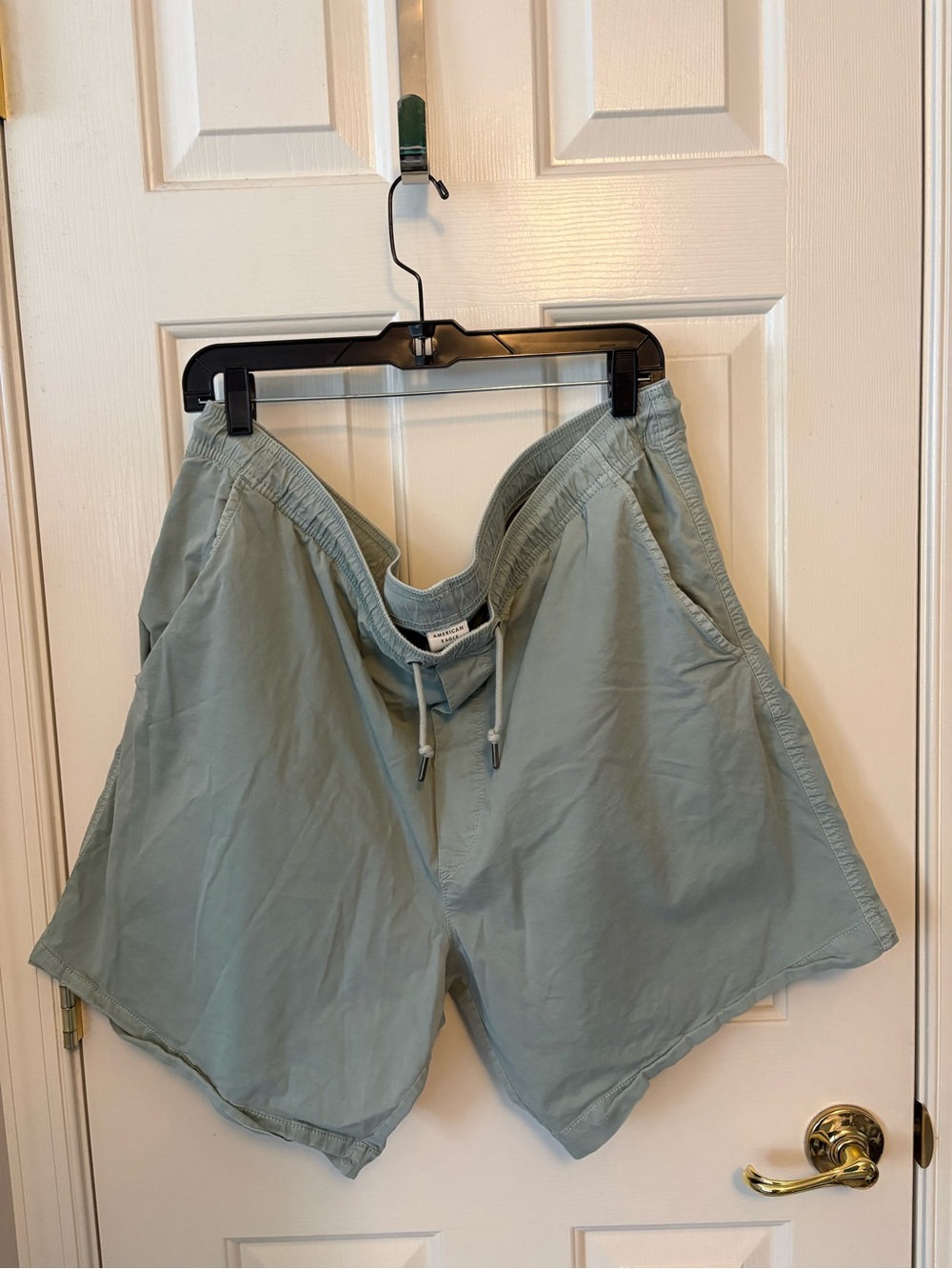American Eagle Outfitters Men’s Cargo Shorts Sage Green